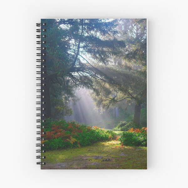 Item preview, Peaceful place designed and sold by Basic310.