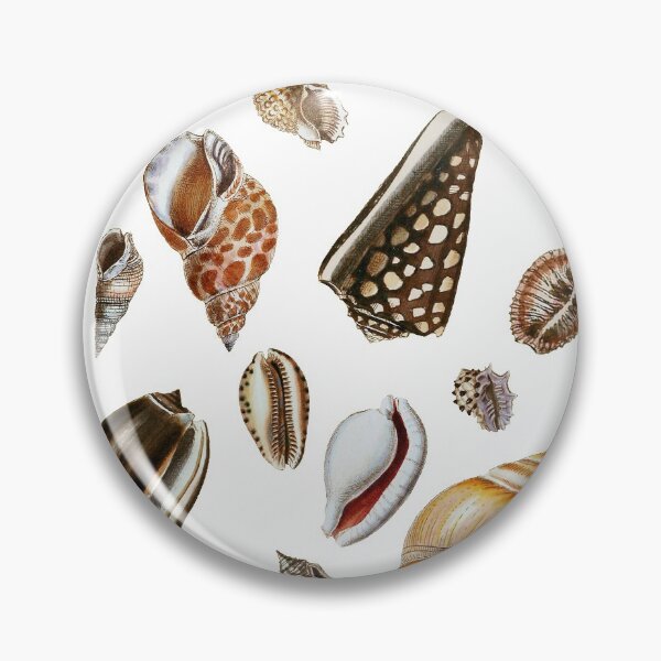 Item preview, Shells pattern - texture designed and sold by portokalis.