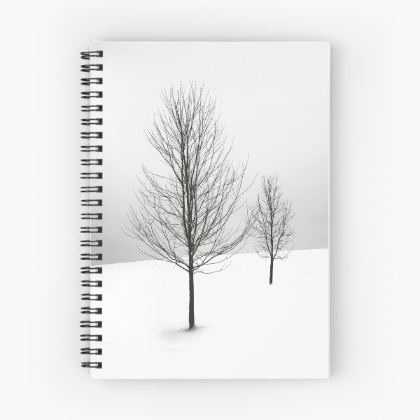 Aperçu de l'œuvre Neige créée et vendue par Basic310.