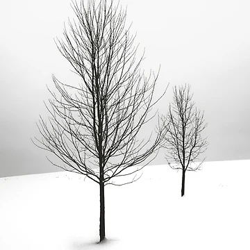 Artwork thumbnail, Snow by Basic310