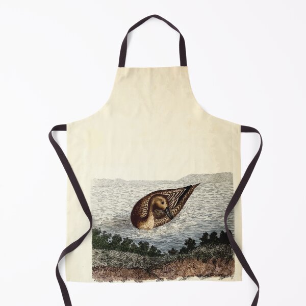 Item preview, British ornithology being the history with a coloured representation of every known species of British birds George Graves 1821 096 designed and sold by WetdryvacRB01.