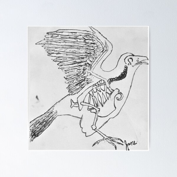 Bird drawings, Bird bones, Skeleton