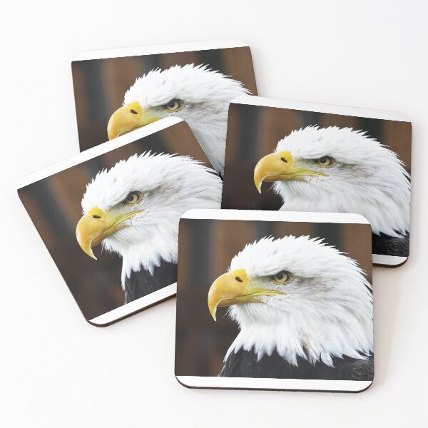 Item preview, Brown Eagle designed and sold by Laura Vancleave.