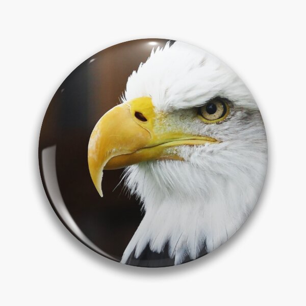 Item preview, Brown Eagle designed and sold by Laura Vancleave.