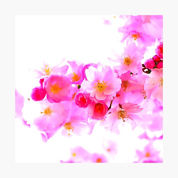 Item preview, Have a cherry blossom day. designed and sold by Ldesigns1.