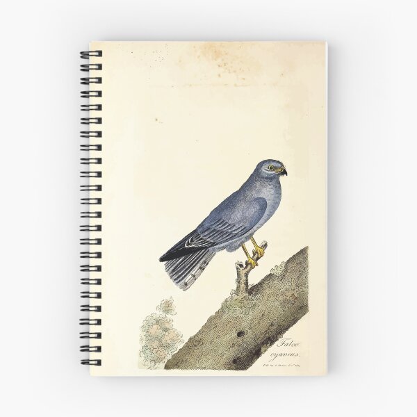 Item preview, British ornithology  being the history with a coloured representation of every known species of British birds George Graves 1821 097 designed and sold by WetdryvacRB01.