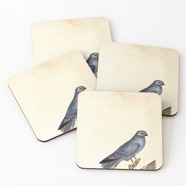 Item preview, British ornithology  being the history with a coloured representation of every known species of British birds George Graves 1821 097 designed and sold by WetdryvacRB01.