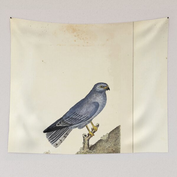 Item preview, British ornithology  being the history with a coloured representation of every known species of British birds George Graves 1821 097 designed and sold by WetdryvacRB01.