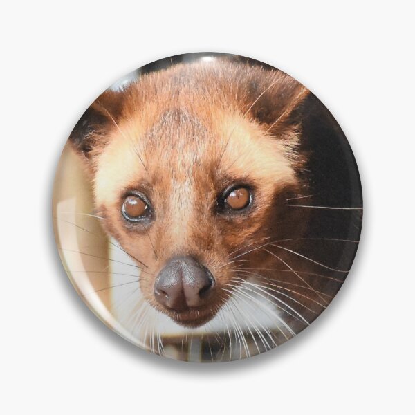 Item preview, Beautiful innocent Civet cat - Indonesian Luwak  designed and sold by mark-taylor.