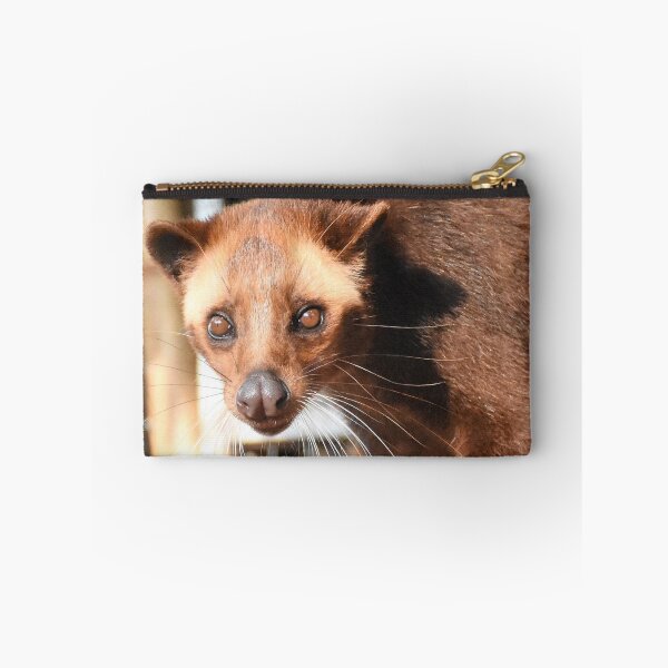 Item preview, Beautiful innocent Civet cat - Indonesian Luwak  designed and sold by mark-taylor.