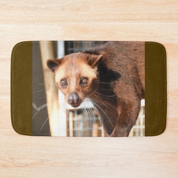 Item preview, Beautiful innocent Civet cat - Indonesian Luwak  designed and sold by mark-taylor.