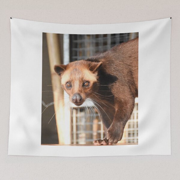 Item preview, Beautiful innocent Civet cat - Indonesian Luwak  designed and sold by mark-taylor.