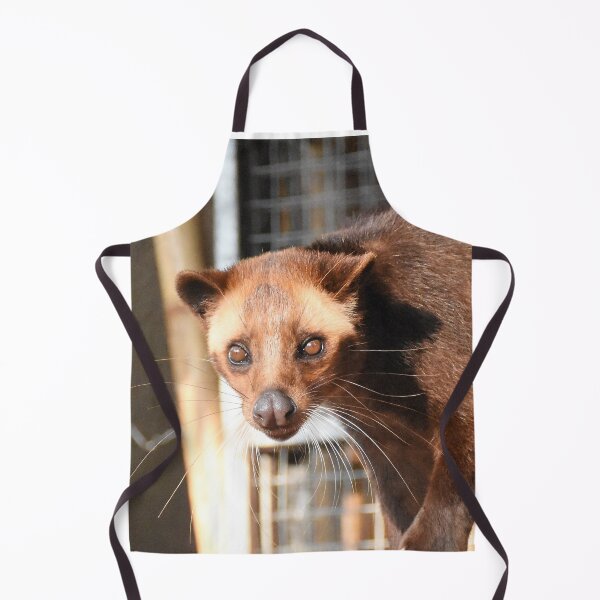 Item preview, Beautiful innocent Civet cat - Indonesian Luwak designed and sold by mark-taylor.