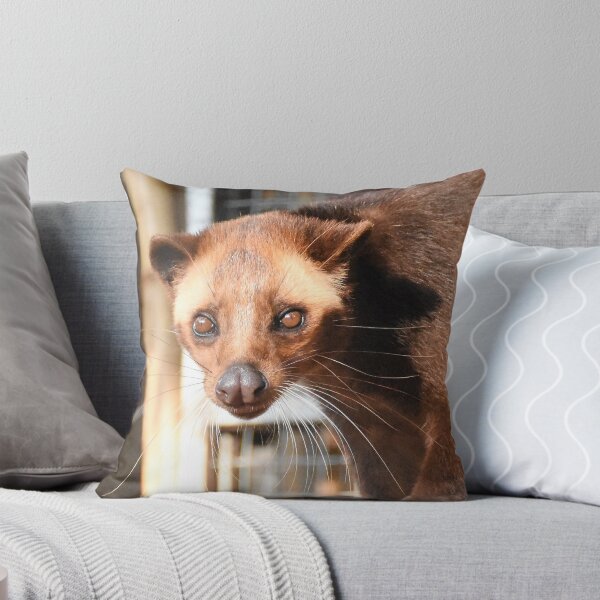 Item preview, Beautiful innocent Civet cat - Indonesian Luwak  designed and sold by mark-taylor.