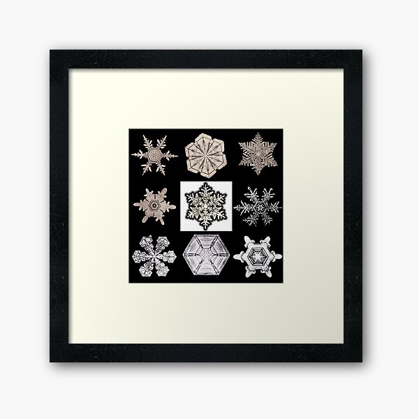 Item preview, Wilson Bentley Snowflakes designed and sold by goldenanchor.