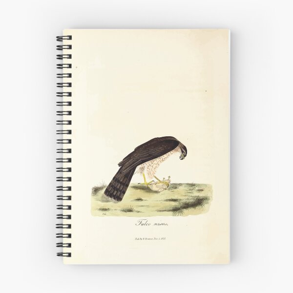 Item preview, British ornithology  being the history with a coloured representation of every known species of British birds George Graves 1821 098 designed and sold by WetdryvacRB01.
