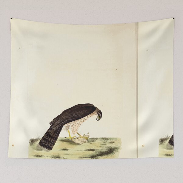 Item preview, British ornithology  being the history with a coloured representation of every known species of British birds George Graves 1821 098 designed and sold by WetdryvacRB01.