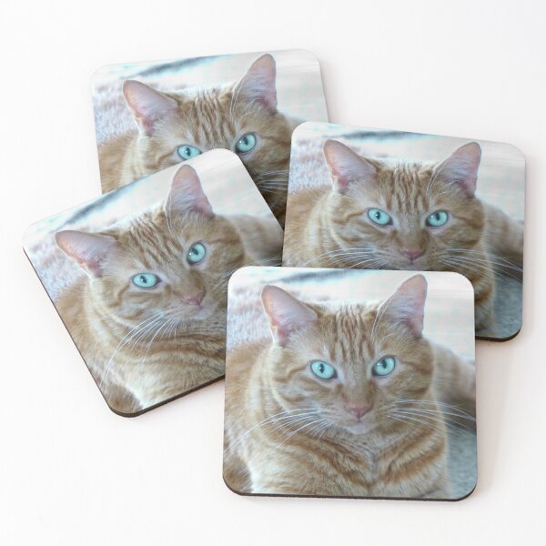 Item preview, Frankie designed and sold by Frankie Cat Photography.