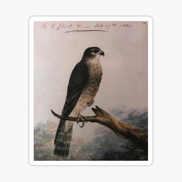 Item preview, Merlin, gemalt von Emily Brontë  designed and sold by Pelikancrazy.