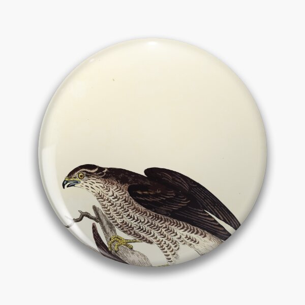 Item preview, British ornithology  being the history with a coloured representation of every known species of British birds George Graves 1821 099 designed and sold by WetdryvacRB01.