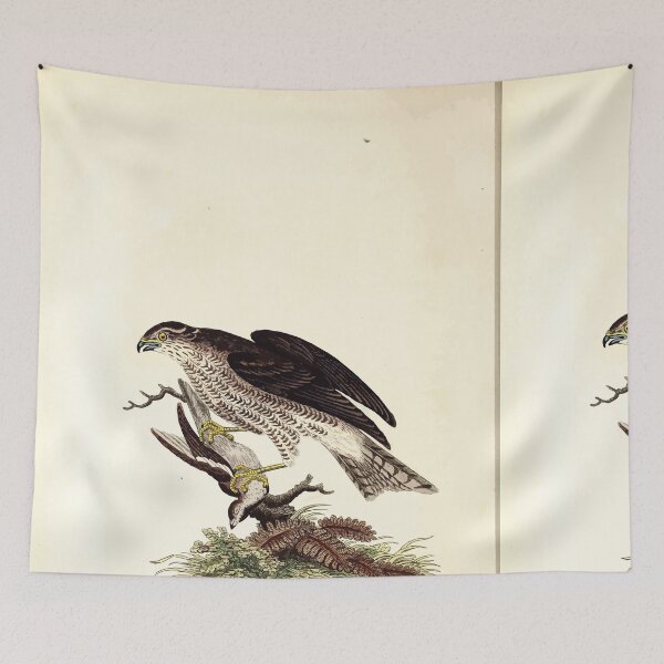 Item preview, British ornithology  being the history with a coloured representation of every known species of British birds George Graves 1821 099 designed and sold by WetdryvacRB01.