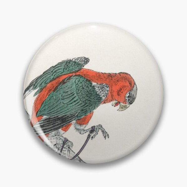 Item preview, macaw illustration 41572314520 designed and sold by Bird-Lore.