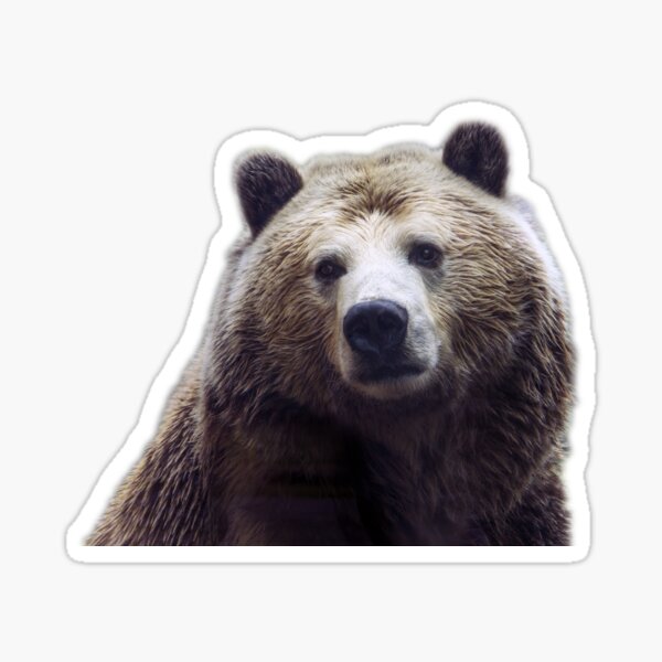 Item preview, Brown Bear Face designed and sold by BlueHatter.