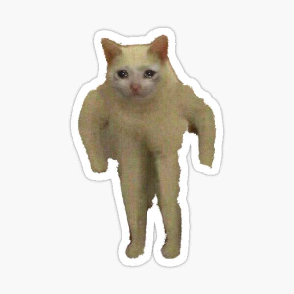 HQ Sad Crying Cat Standing Up Meme Sticker By Fomodesigns ...