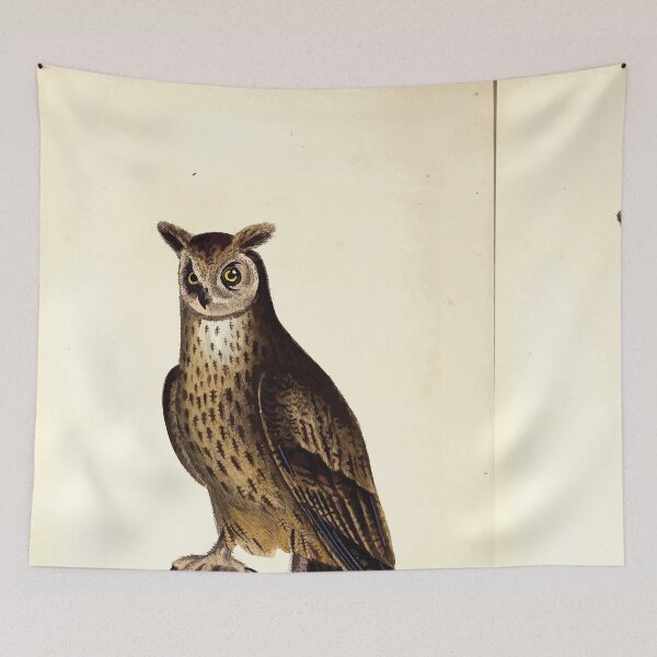 Item preview, British ornithology  being the history with a coloured representation of every known species of British birds George Graves 1821 100 designed and sold by WetdryvacRB01.