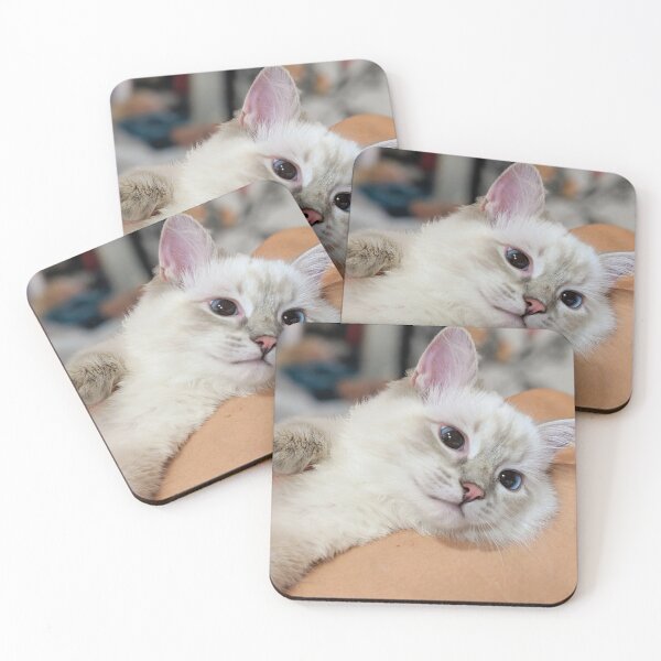 Item preview, Ragdoll kitten designed and sold by Fluffycat2020.