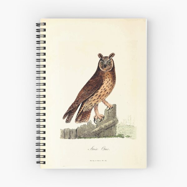 Item preview, British ornithology  being the history with a coloured representation of every known species of British birds George Graves 1821 101 designed and sold by WetdryvacRB01.