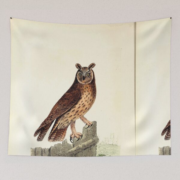 Item preview, British ornithology  being the history with a coloured representation of every known species of British birds George Graves 1821 101 designed and sold by WetdryvacRB01.