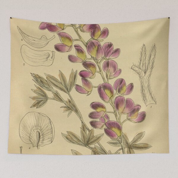 Item preview, Lupinus chamissonis 142 8657 designed and sold by EsotericBotanic.