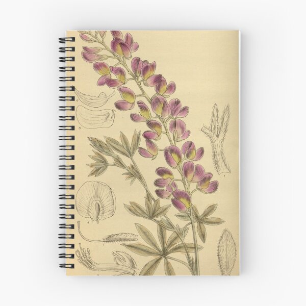 Item preview, Lupinus chamissonis 142 8657 designed and sold by EsotericBotanic.