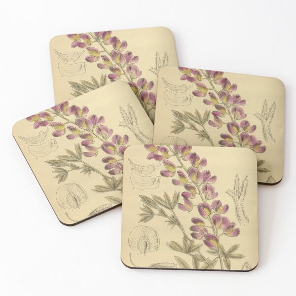 Item preview, Lupinus chamissonis 142 8657 designed and sold by EsotericBotanic.