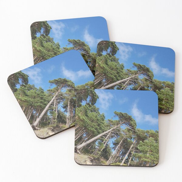 Item preview, Trees, forest, landscape designed and sold by Sternchen2789.
