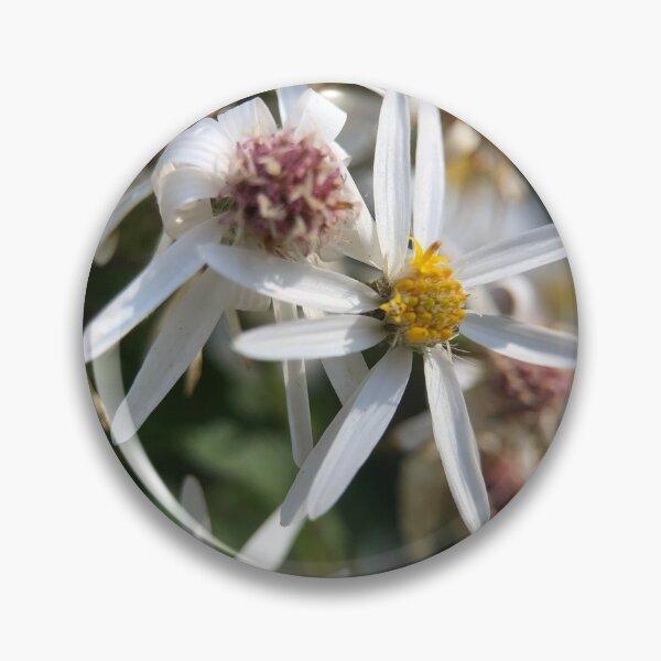 Item preview, White wood aster designed and sold by Barbitastic.