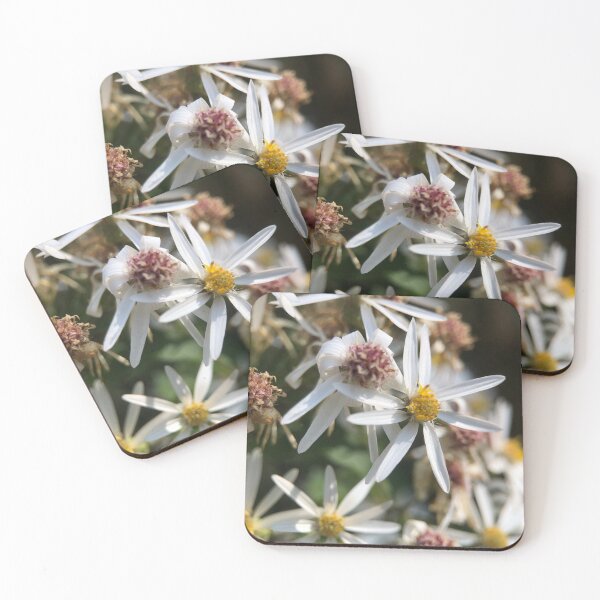 Item preview, White wood aster designed and sold by Barbitastic.