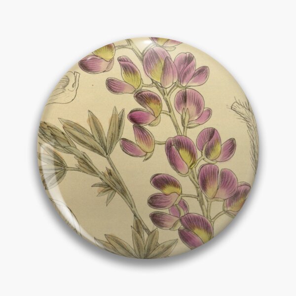 Item preview, Lupinus chamissonis 142 8657 designed and sold by EsotericBotanic.