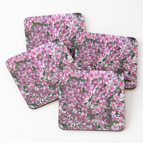 Item preview, Pink sedum designed and sold by Barbitastic.