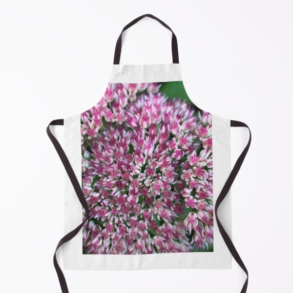 Item preview, Pink sedum designed and sold by Barbitastic.