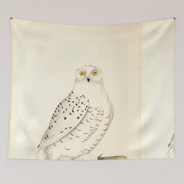 Item preview, British ornithology  being the history with a coloured representation of every known species of British birds George Graves 1821 102 designed and sold by WetdryvacRB01.