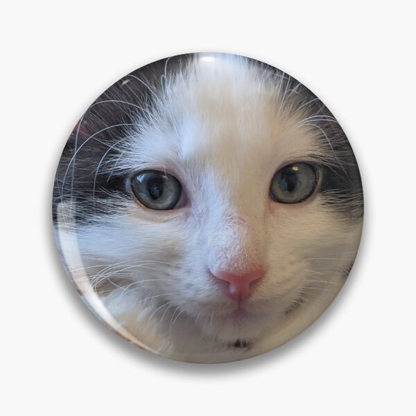 Item preview, Kitten designed and sold by Fluffycat2020.