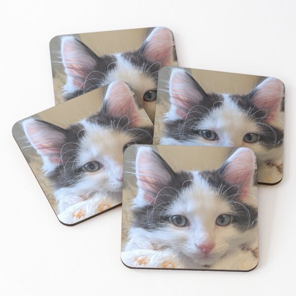 Item preview, Kitten designed and sold by Fluffycat2020.