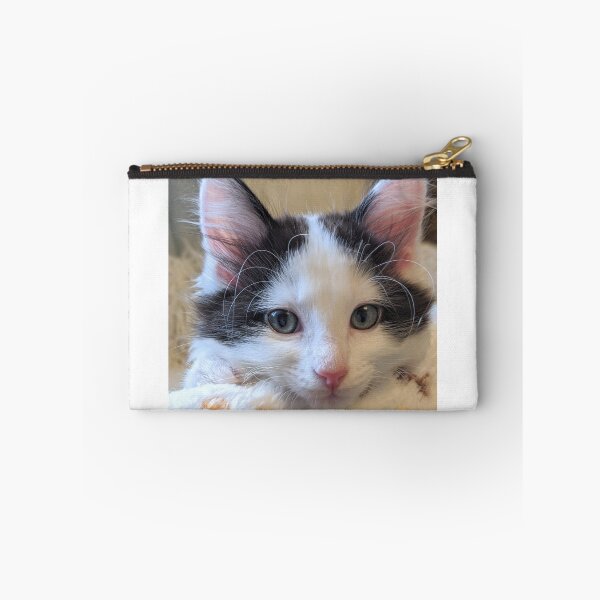 Item preview, Kitten designed and sold by Fluffycat2020.