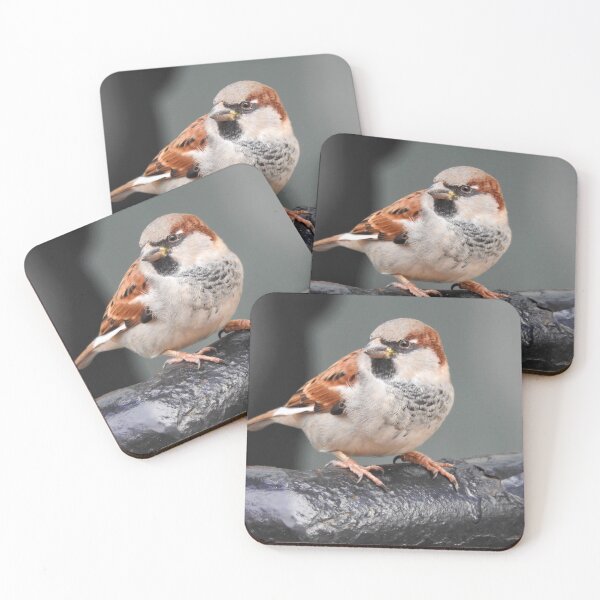 Item preview, Sparrow in city designed and sold by ibwr1.