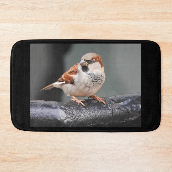 Item preview, Sparrow in city designed and sold by ibwr1.