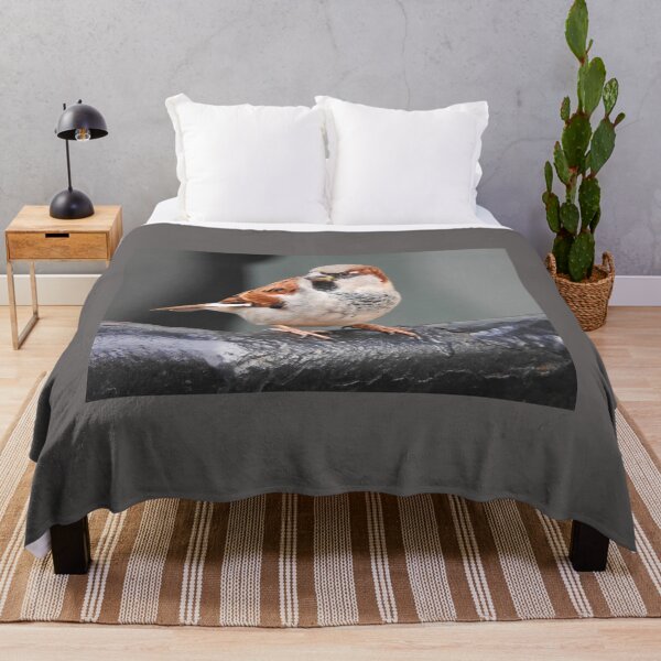 Item preview, Sparrow in city designed and sold by ibwr1.