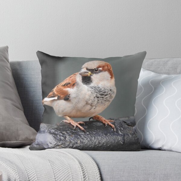 Item preview, Sparrow in city designed and sold by ibwr1.