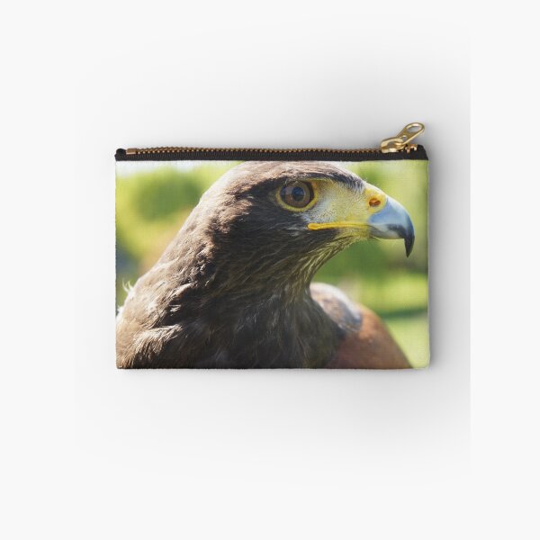 Artikelvorschau, Harris Hawk entworfen und verkauft von Serina Patterson.